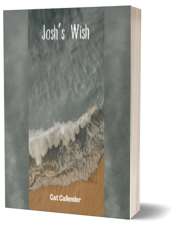Josh's Wish. A short horror story